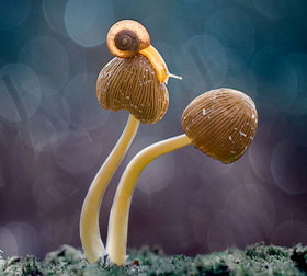 呼死你轰炸短信平台